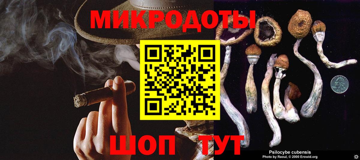 Галлюциногенные грибы мицелий  Вход с VPN  Минусинск 